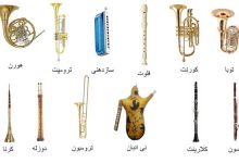 انواع ساز بادی