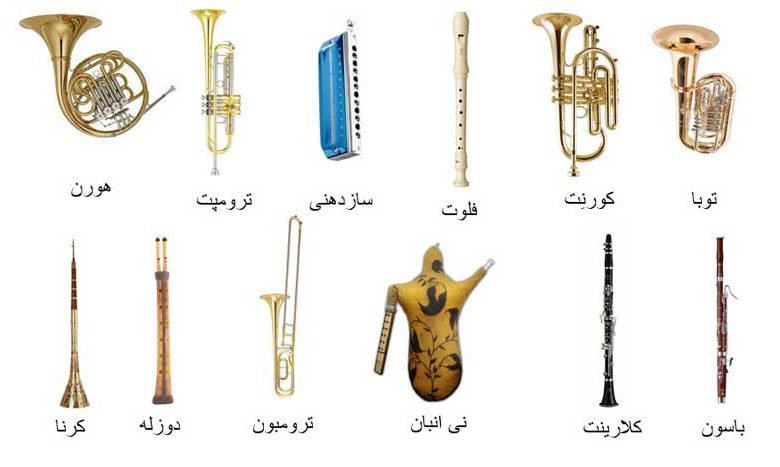 انواع ساز بادی